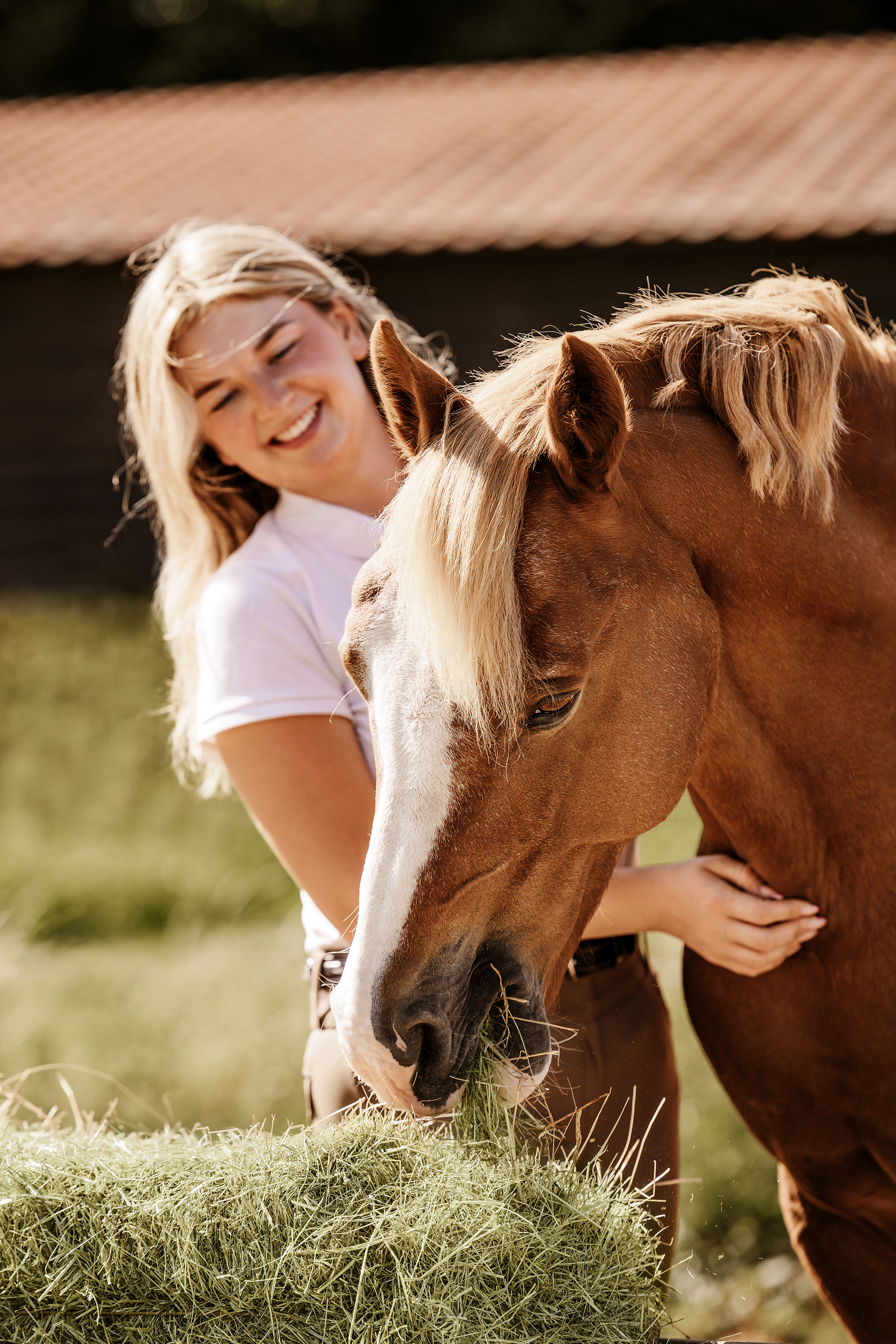 1. Schnitt Heu - Bio-Qualität