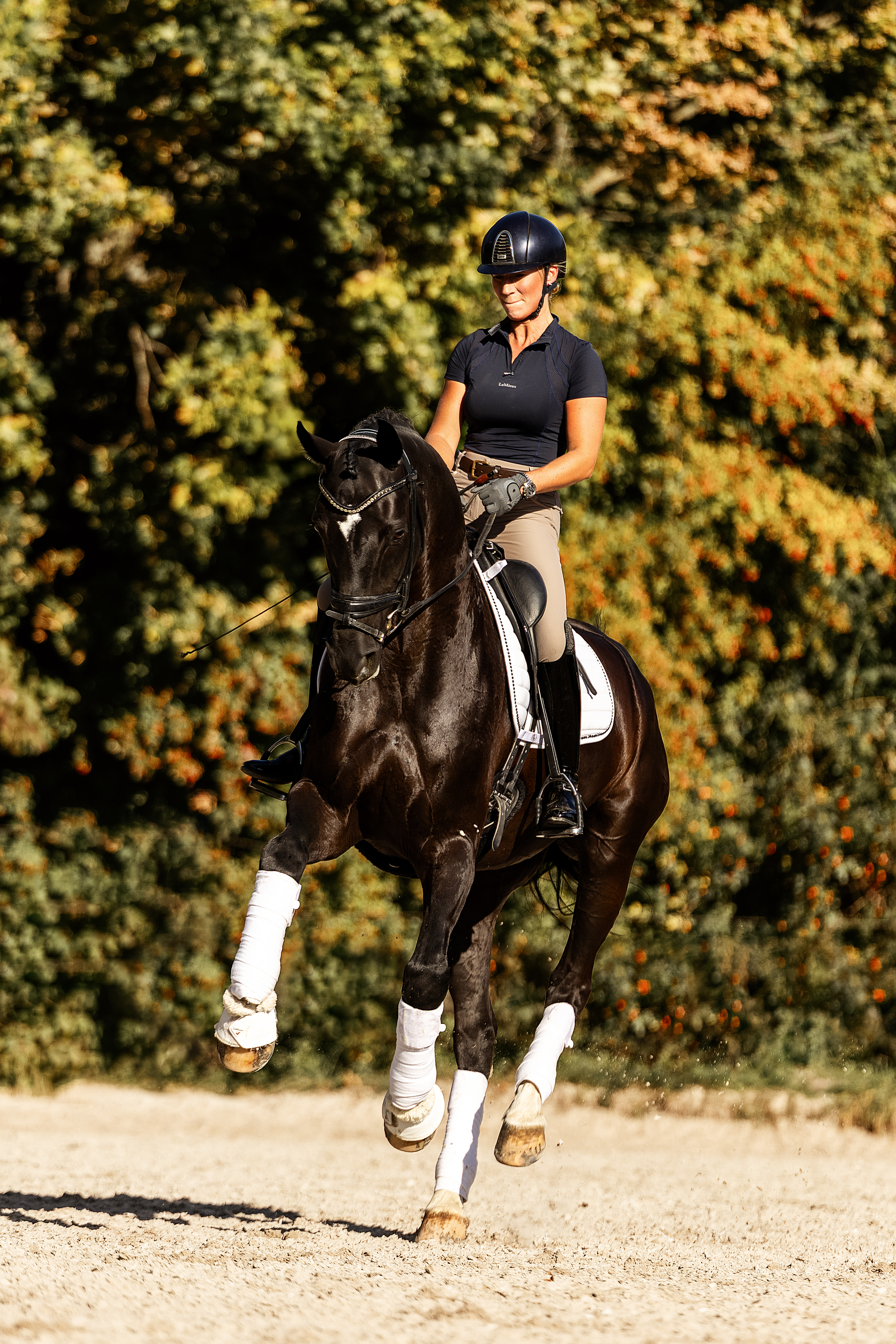 Probeballen Luzerne "Best Alfalfa®"