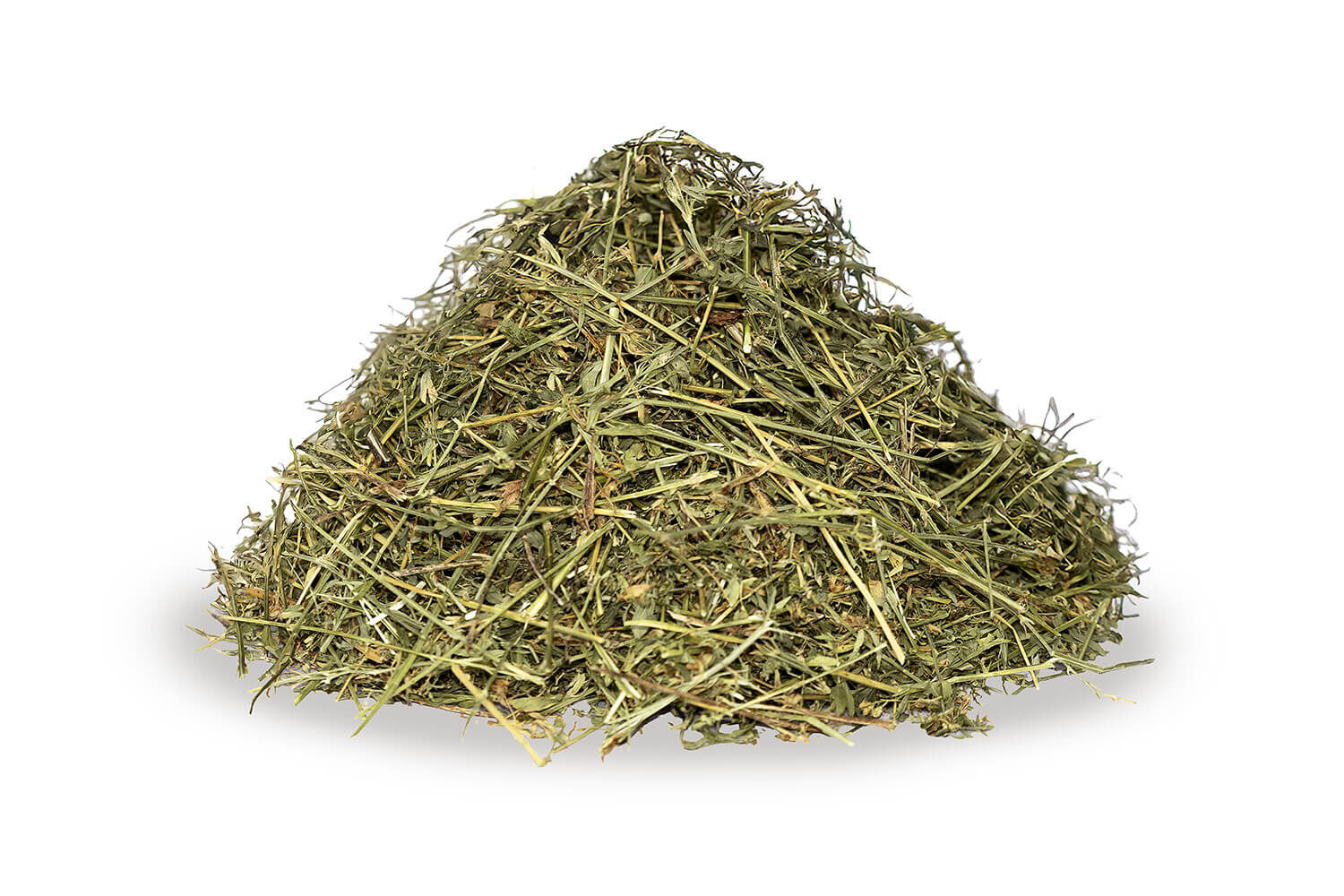 Luzerne "Best Alfalfa®"