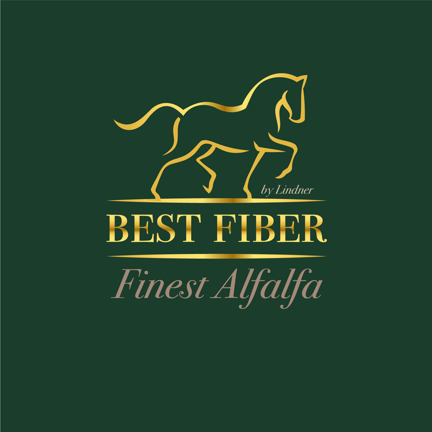 Probeballen Luzerne "Best Alfalfa®"